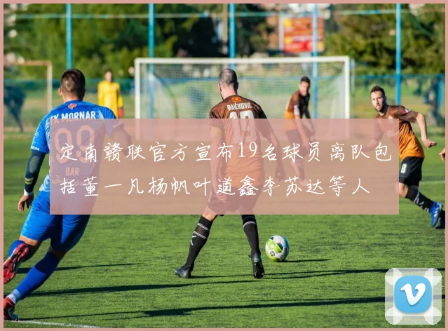 定南赣联官方宣布19名球员离队包括董一凡杨帆叶道鑫李苏达等人