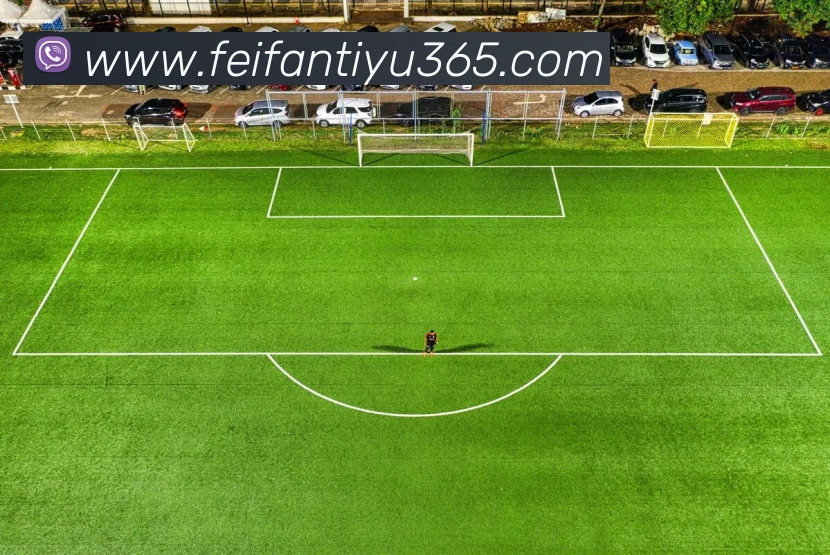 非凡体育APP 封面图